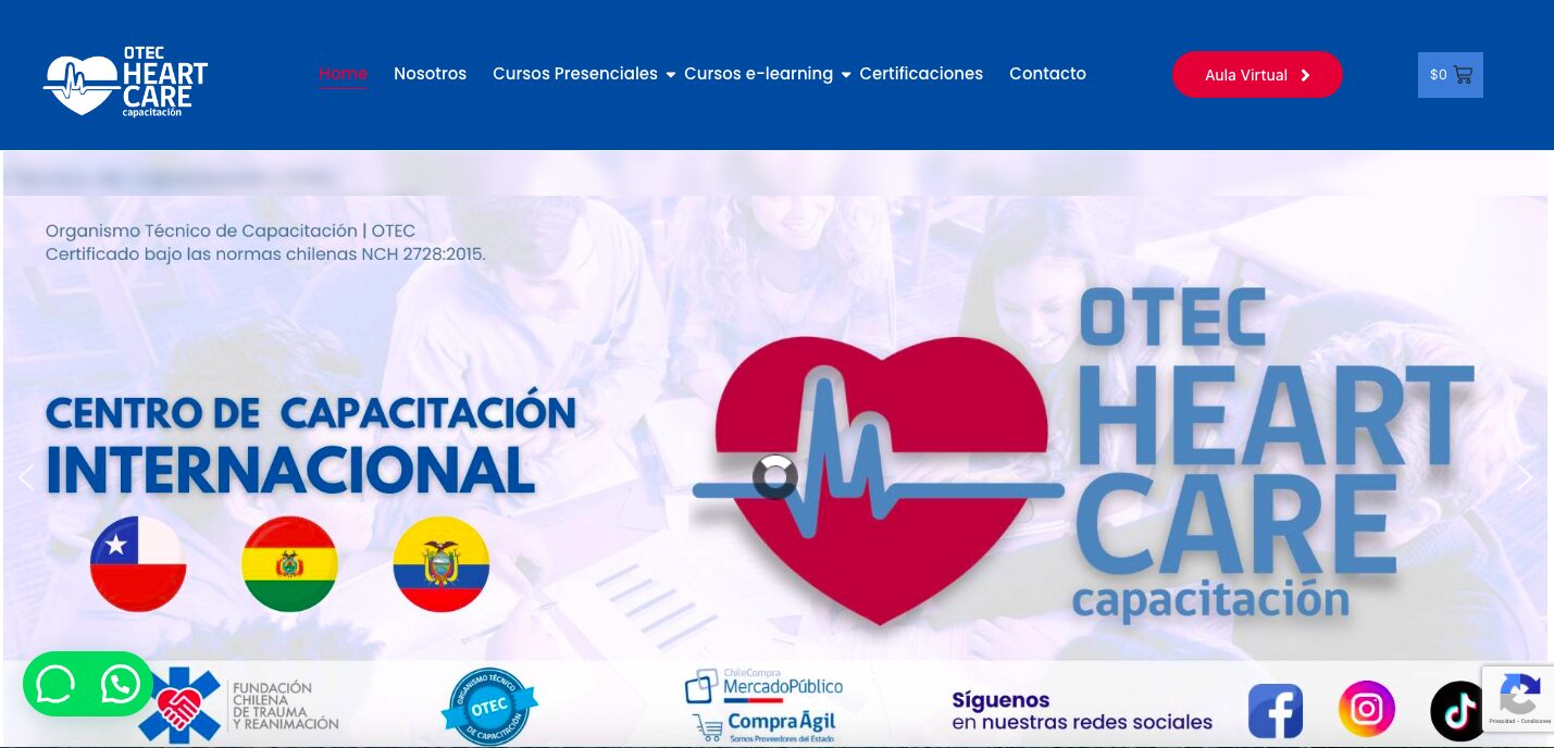 Diseño web ecommerce, moodle OTEC